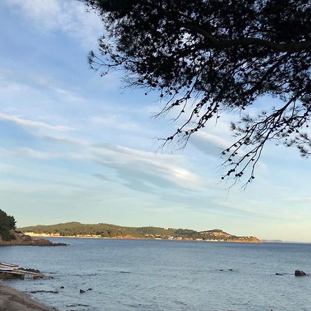 Studio ST-MANDRIER 300m MER Saint-Mandrier-sur-Mer Esterno foto